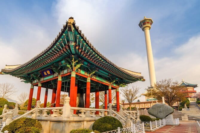 1-Day Busan Shore Excursion – City Highlights for Cruise Guests - Jagalchi Market and a taste of local Busan