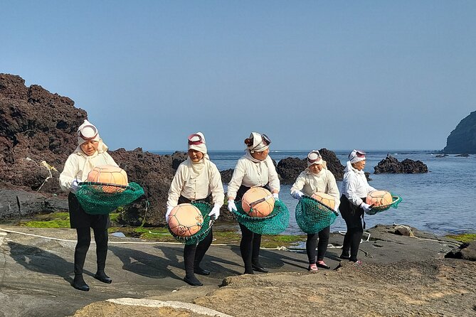2 Day Private pictures of Nature Tour very experience taxi tour - Who should book this Jeju experience