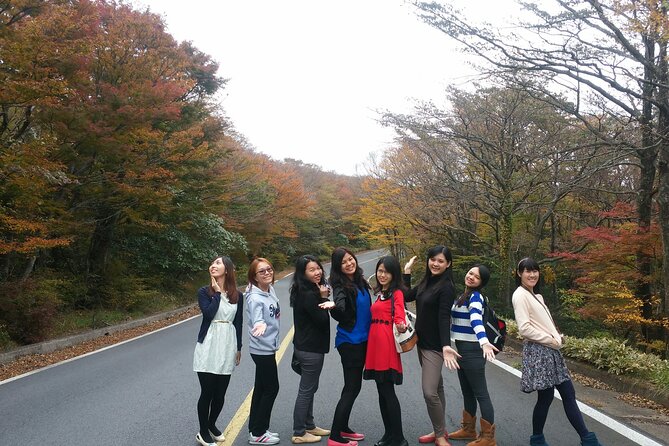 2 Days Jeju Island Private Taxi Tour (East/West of Jeju Island ) - Should you book this Jeju taxi tour?