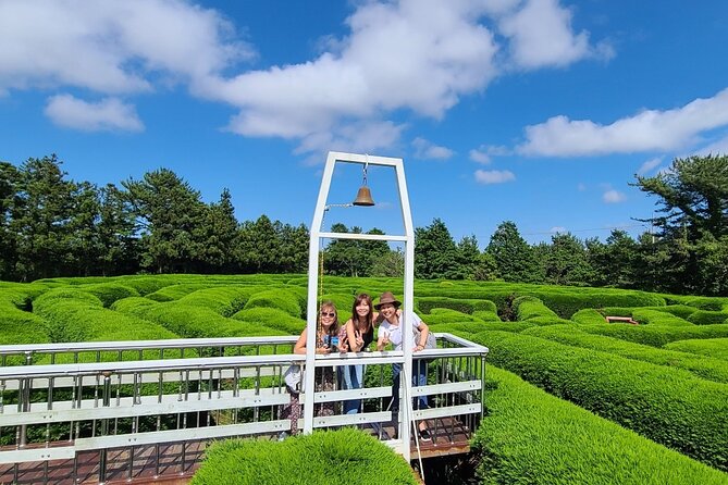 2-days Private Taxi Tour in Jeju Island - Key points to know before booking