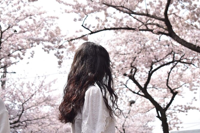 2026 Cherry Blossom East Day Tour in Jeju with UNESCO - Key details before you book