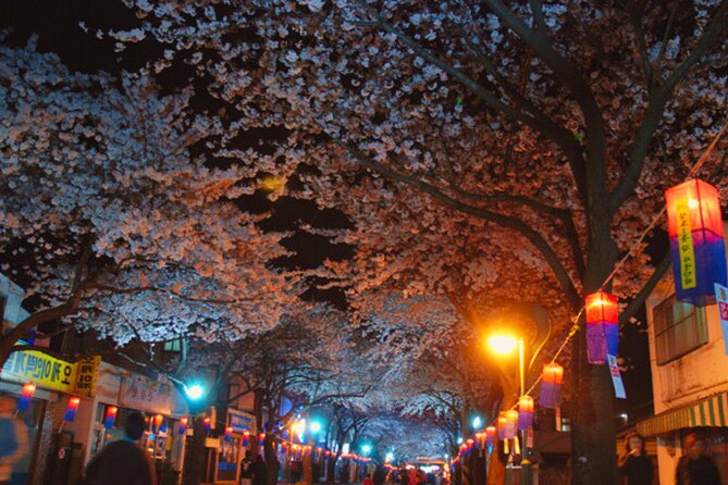 2026 Cherry Blossom East Day Tour in Jeju with UNESCO - Jeonnong-ro: Jeju’s first burst of pink