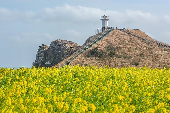 2026 Cherry Blossom East Day Tour in Jeju with UNESCO - Seopjikoji: open coast and volcanic scenery