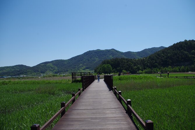3-Day Korea Western course by K-shuttle Tour from Seoul to Busan - Should you book the Seoul to Busan western course?
