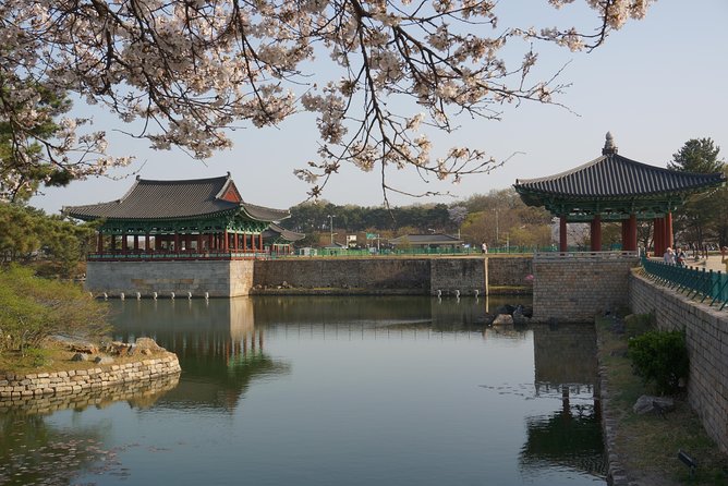 3-Days 2-Nights Gyeongju UNESCO Sites & Busan City [Private Tour from Seoul] - Who should book this experience?