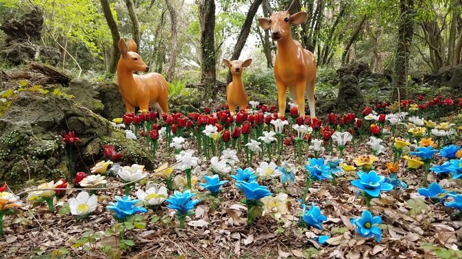 3 days Private Taxi Tour in Jeju Island - Five things to know before booking