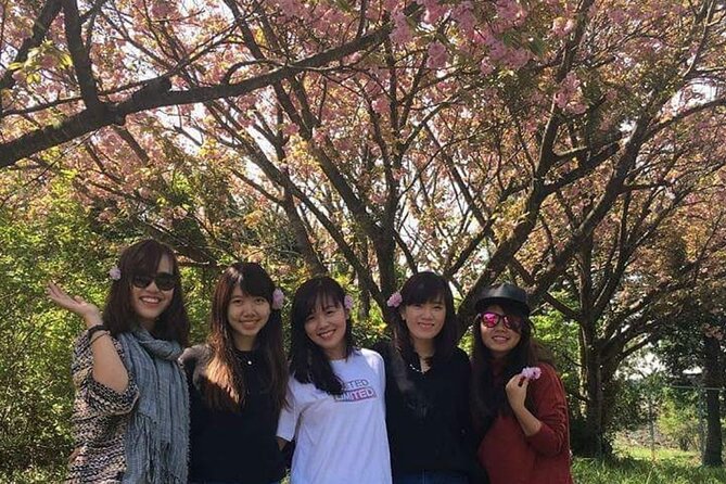 3 days Private Taxi Tour in Jeju Island - Who should book this Jeju taxi tour?