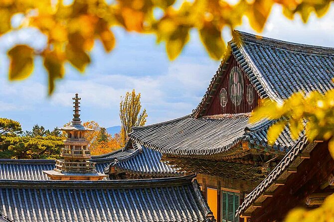7 Highlights Gyeongju City One Day Small Group Tour from Busan - The seven best reasons to consider this Gyeongju tour