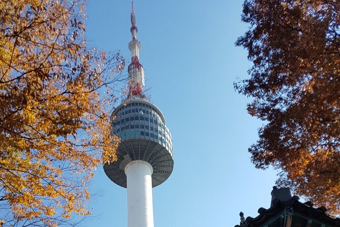 Afternoon Seoul: Hanok Vibes, Netflix Street Food & N Seoul Tower - Pickup, group size, and the pace of the day