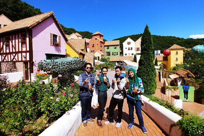 All Day Private Make your own plan tour to Nami Island and others - Petite France and its playful performances