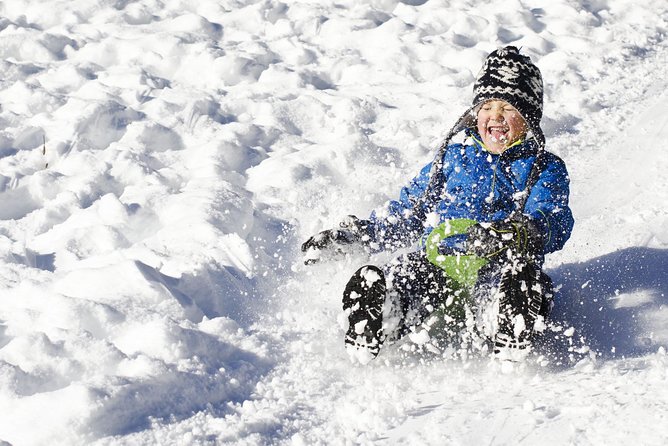 All Day Private Make your own plan tour to Nami Island and others - Winter sledding in Gapyeong
