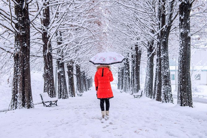 All Day Private Make your own plan tour to Nami Island and others - The Garden of Morning Calm and seasonal lights
