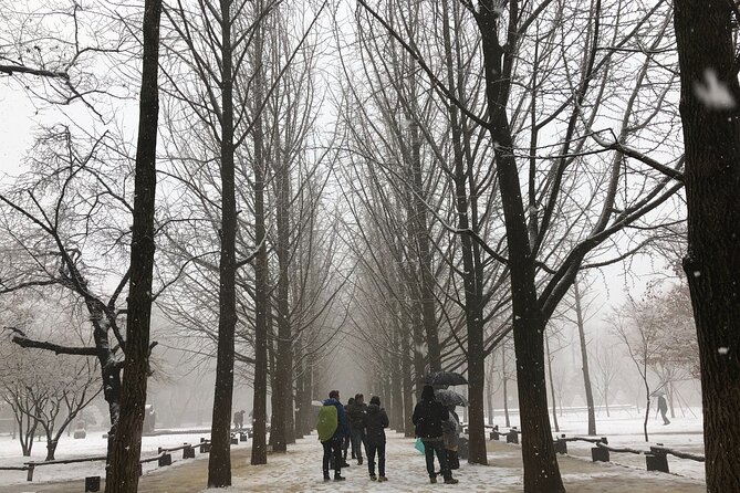 Alpaca, Nami, Eobi with Rail Bike or Strawberry - Nami Island and the Winter Sonata connection