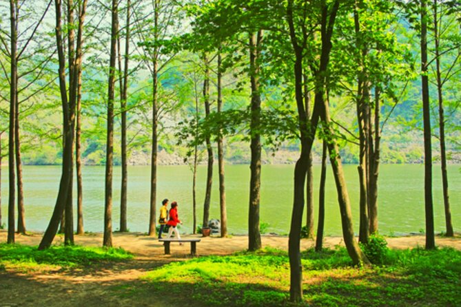 Alpaca World and Nami Island with Gangchon Rail Bike Tour - Starting at Hongik University Station