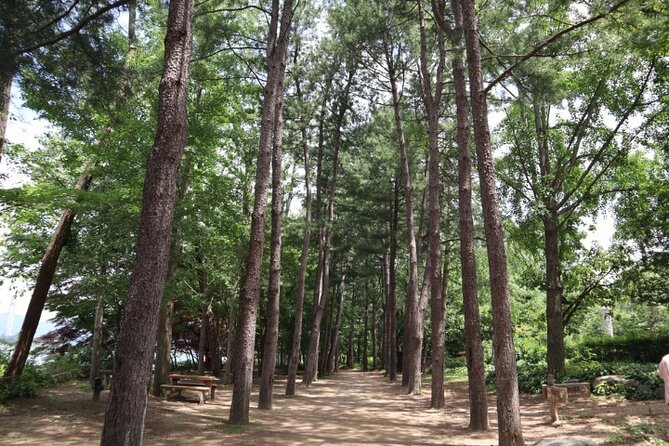 Alpaca World and Nami Island with Gangchon Rail Bike Tour - The guides are a major part of the value