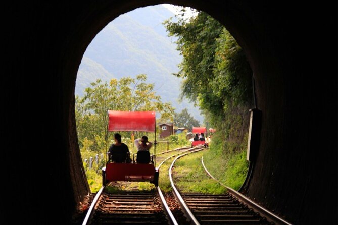 Alpaca World and Nami Island with Gangchon Rail Bike Tour - Bus time, traffic, and the real pace