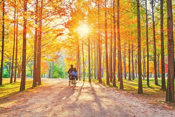 Alpaca World & Nami Island & Garden of Morning Calm One Day Tour - Garden of Morning Calm: the quietest finish
