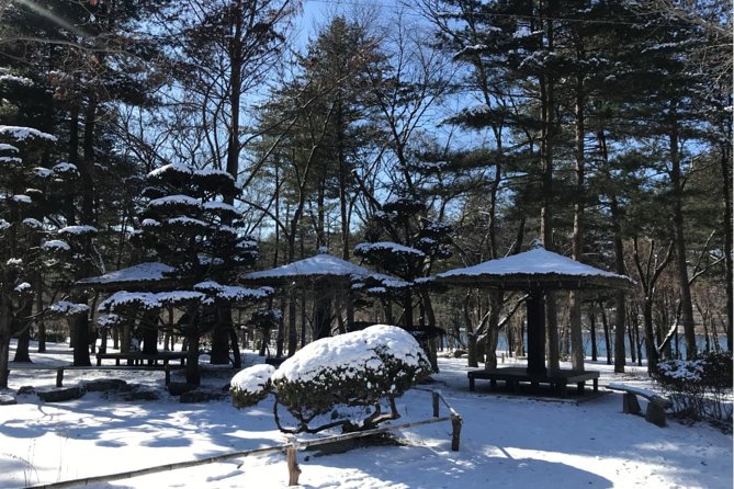 Alpaca World & Nami Island & Garden of Morning Calm One Day Tour - Who will get the most from this tour?