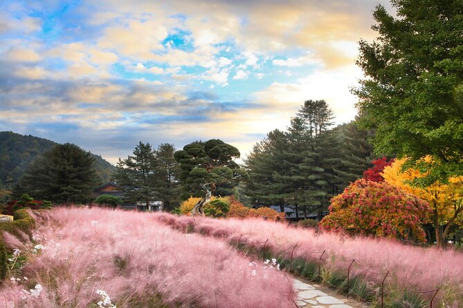 Alpaca World Tour with Nami Island (optional Railbike or Garden) - Garden of Morning Calm: flowers in warmer months, lights in winter