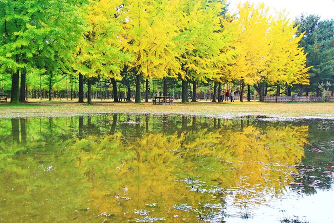 Alpaca World Tour with Nami Island (optional Railbike or Garden) - The Stay Healing Park: a winter light-focused alternative