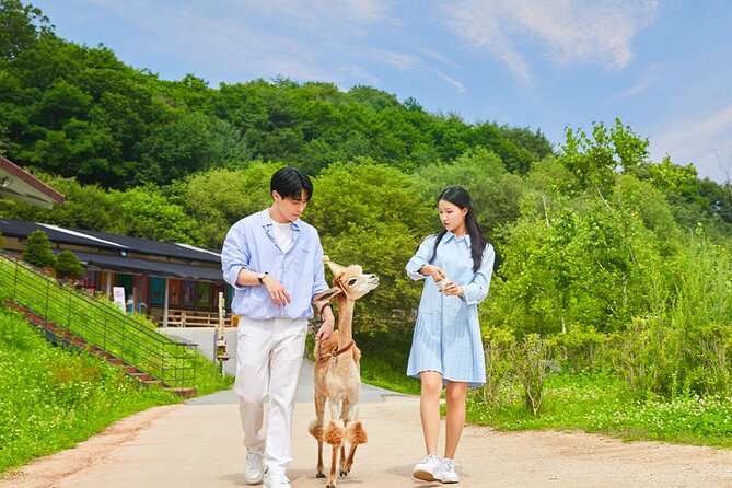 Alpaca World with Gangchon Rail Park One Day Tour - Alpaca World: two and a half hours with the animals