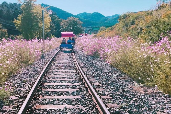 Alpaca World with Gangchon Rail Park One Day Tour - The physical demands and clothing rules