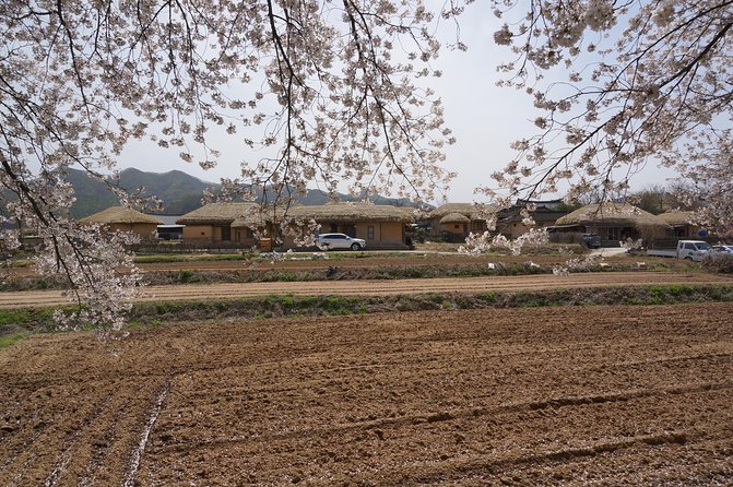 Andong Hahoe Folk Village [UNESCO World Heritage] Private Tour from Seoul - Hahoe Mask Museum: a compact cultural stop