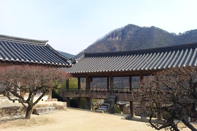 Andong Hahoe Village [UNESCO site] Premium Private Tour from Seoul - Hahoe Folk Village: Traditional Homes in a Living Setting