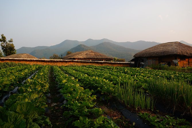 Andong Hahoe Village [UNESCO site] Premium Private Tour from Seoul - Byeongsan Seowon: Korea’s Confucian Past