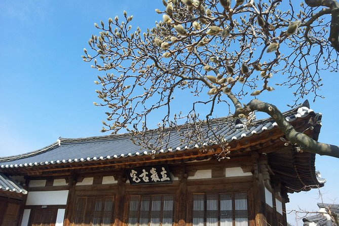 Andong Hahoe Village [UNESCO site] Premium Private Tour from Seoul - Who Should Book This Hahoe Day Trip?