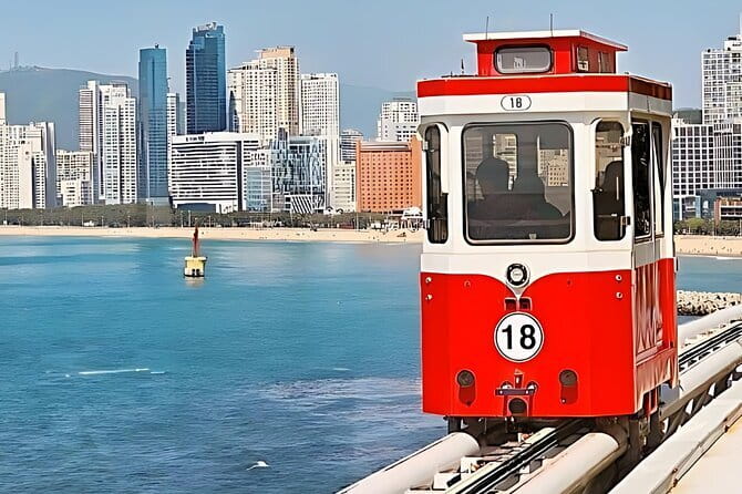 Authentic Busan Full-Day City Highlights Tour - Why Busan works well as a one-day guided tour