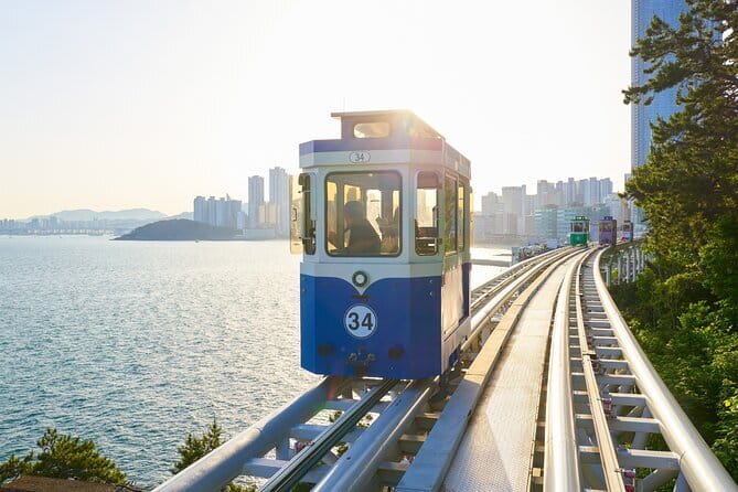 Authentic Busan Full-Day City Highlights Tour - Cheongsapo Daritdol Observatory and the Green Railway