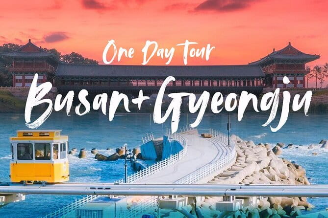 Authentic Busan Full-Day City Highlights Tour - Jagalchi gives you a useful starting point for the evening