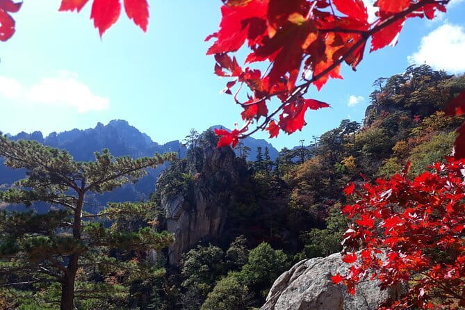 Autumn Foliage-Mt. Seorak, Sokcho Fish Market, Sokcho Beach - Why this Seoul day trip works
