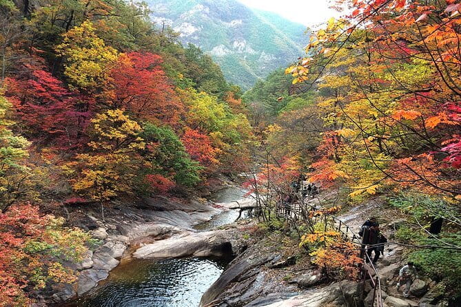 Autumn Foliage-Mt. Seorak, Sokcho Fish Market, Sokcho Beach - Five hours among Seoraksan’s autumn trees