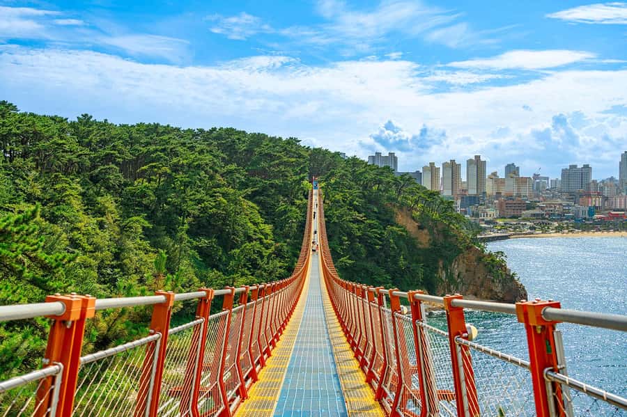 Busan: 7 Highlights Gyeongju City One Day Tour - Bulguksa Temple and the stone pagodas