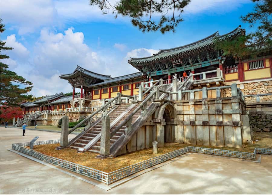 Busan: 7 Highlights Gyeongju City One Day Tour - Hwangnidan-gil: old Gyeongju with a modern appetite