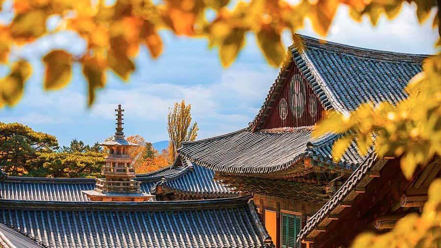 Busan: 7 Highlights Gyeongju City One Day Tour - Gyochon Traditional Village and the Choi family story