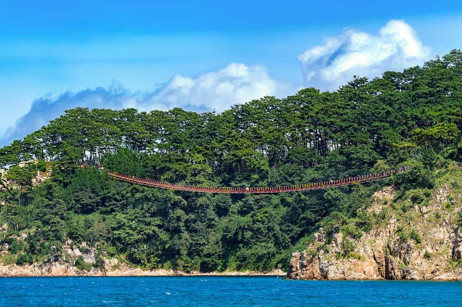 Busan: 7 Highlights Gyeongju City One Day Tour - Daewangam Suspension Bridge: a new opening with sea air