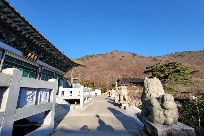 Busan Beomeosa Temple & Hongbeopsa Temple with temple lunch - Why this two-temple route works