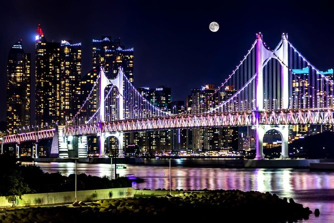 Busan by Night - Guides, photos, and the human side of the tour