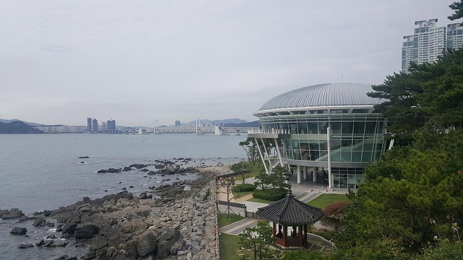 Busan city tour from Seoul by KTX bullet train - Why Take the KTX for a Single Day in Busan?