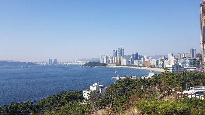 Busan city tour from Seoul by KTX bullet train - Dongbaekseom and the Nurimaru APEC House
