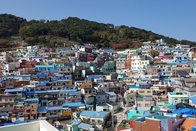 Busan city tour from Seoul by KTX bullet train - Gamcheon Culture Village and the Shape of Postwar Busan