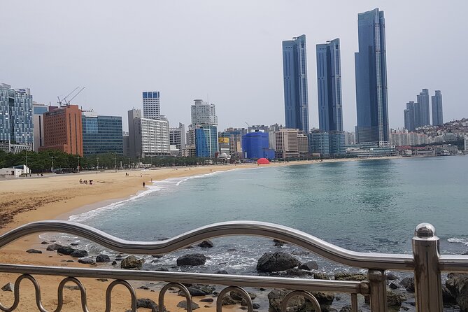 Busan CUSTOMIZED Tour for PRIVATE GROUP CRUISE PASSENGERS - Busan Tower, Nampodong, Gukje, and Jagalchi