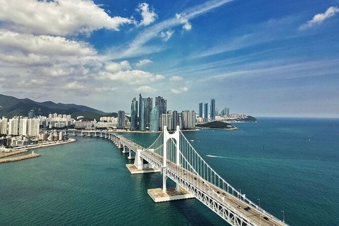 Busan Day Trip from Seoul by KTX - Private Tour with Local Guide - BIFF Square and Gukje Market in the old city center