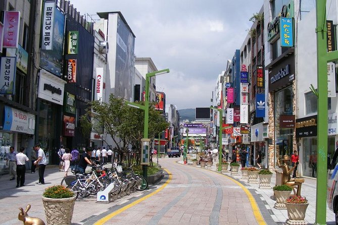 Busan day trip including Gamcheon culture village from Seoul by KTX train - Hwangnyeongsan Mountain: the big city view