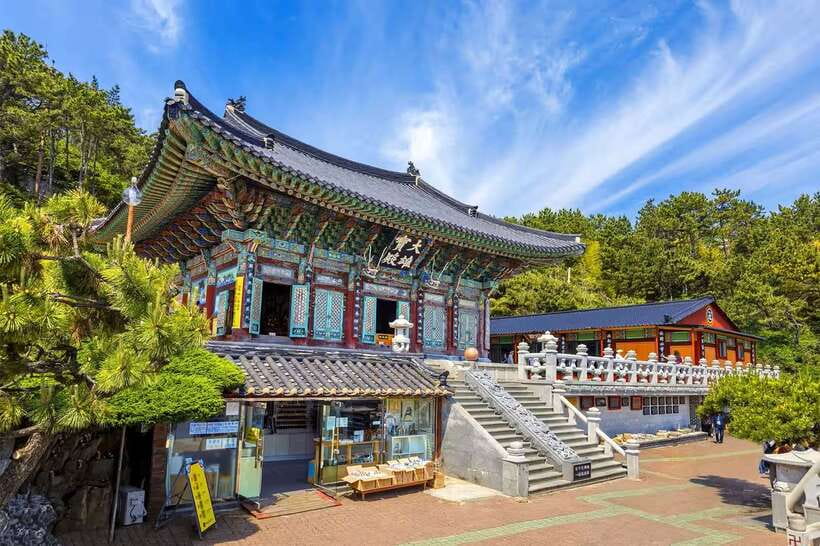 Busan: Full-Day City Tour with Taejongdae, Gamcheon & More - The van, route, and long stretches between stops