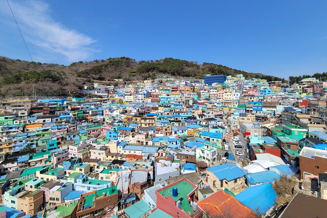 Busan Full-Day Customizable Private Tour in English - Haedong Yonggungsa and the First 108 Steps