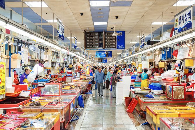 Busan: Fully Customizable Private Tour - What the guide adds to the experience
